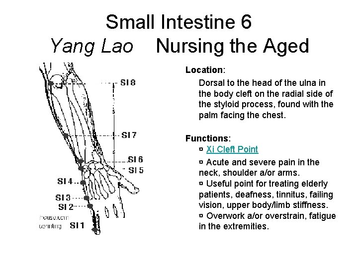 Small Intestine 6 Yang Lao Nursing the Aged Location: Dorsal to the head of