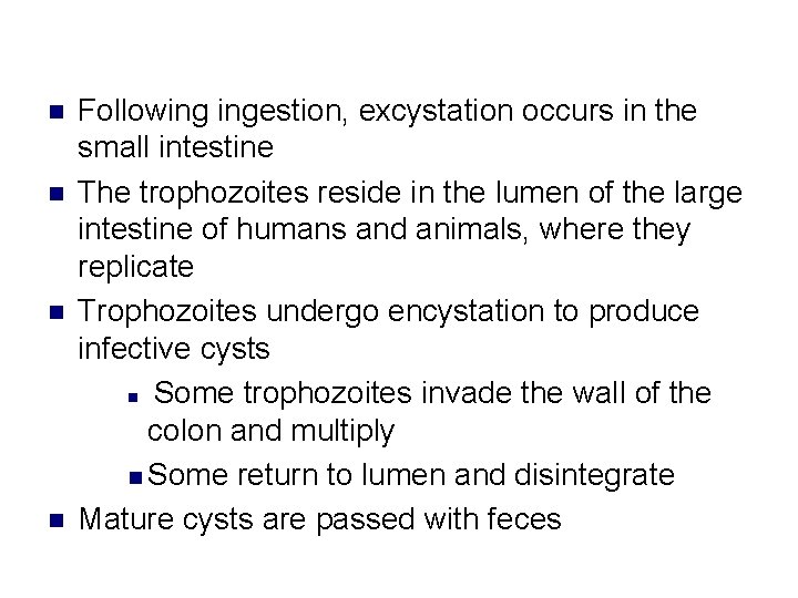 n n Following ingestion, excystation occurs in the small intestine The trophozoites reside in