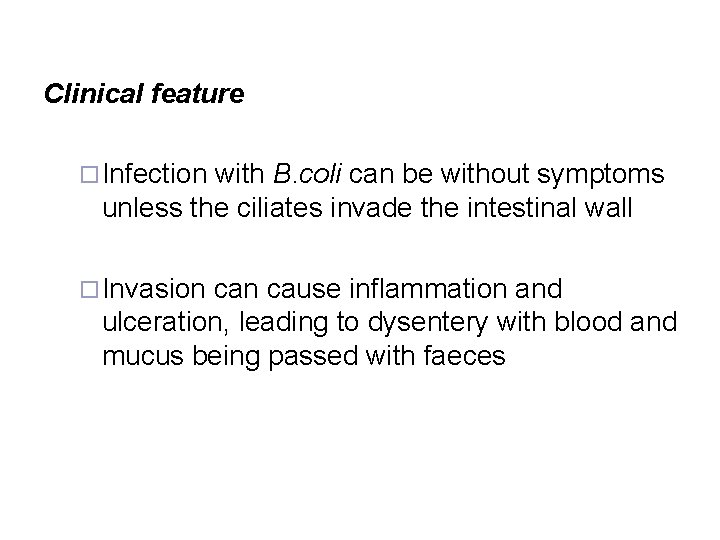 Clinical feature ¨ Infection with B. coli can be without symptoms unless the ciliates