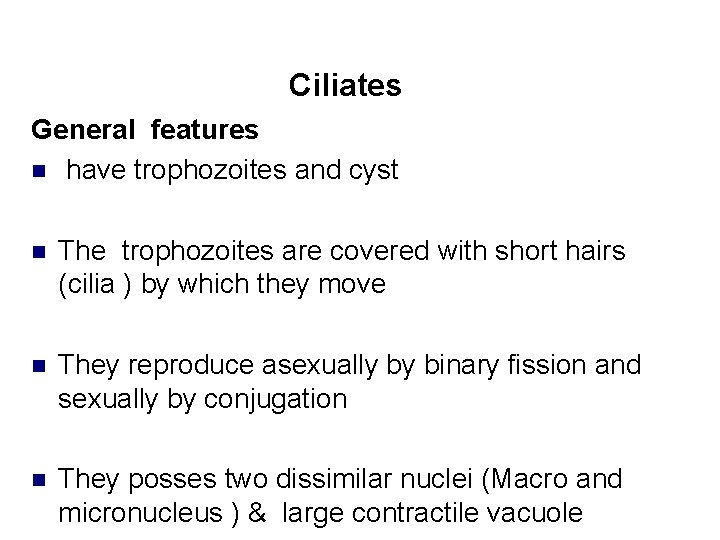 Ciliates General features n have trophozoites and cyst n The trophozoites are covered with
