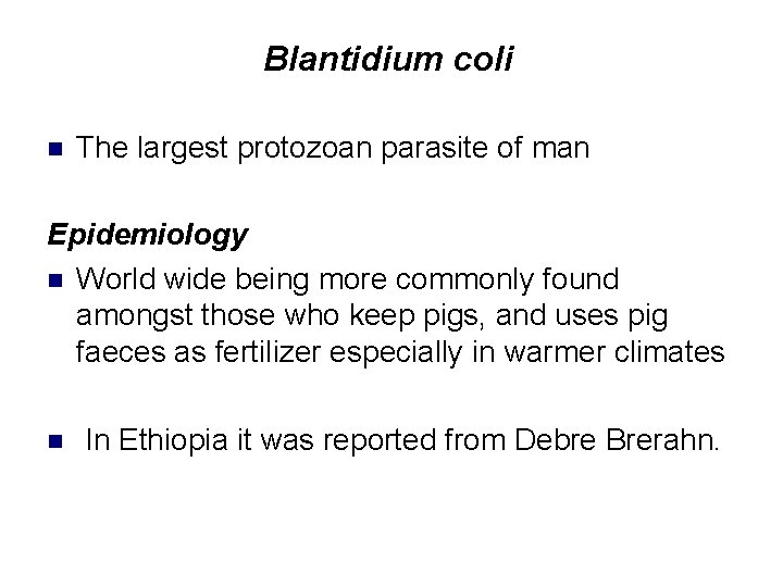 Blantidium coli n The largest protozoan parasite of man Epidemiology n World wide being