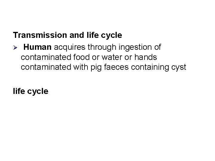Transmission and life cycle Ø Human acquires through ingestion of contaminated food or water