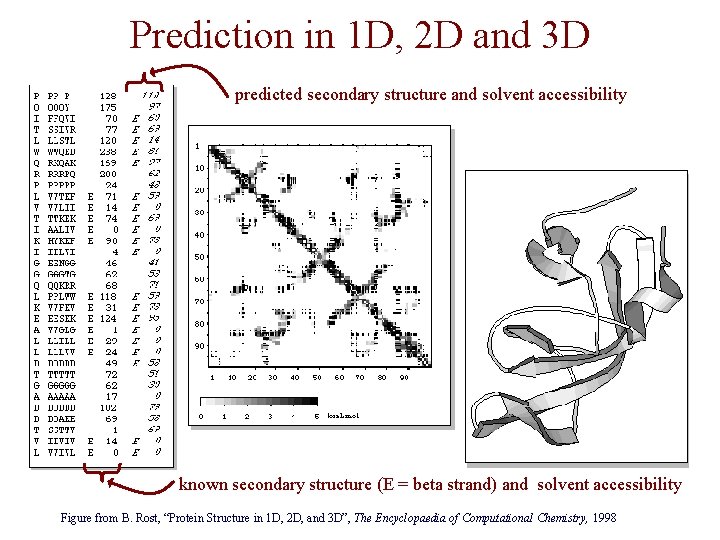 Prediction in 1 D, 2 D and 3 D predicted secondary structure and solvent
