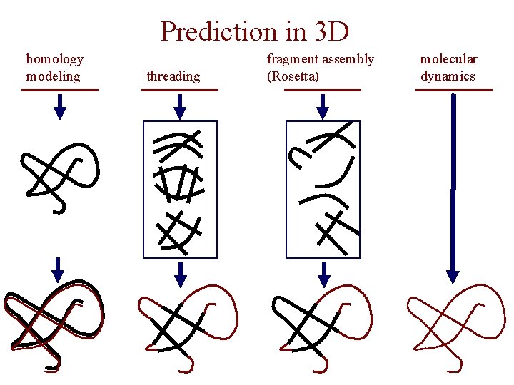 Prediction in 3 D homology modeling threading fragment assembly (Rosetta) molecular dynamics 