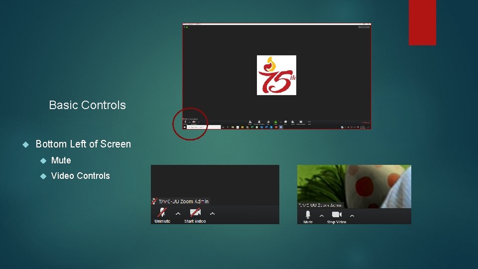 Basic Controls Bottom Left of Screen Mute Video Controls 