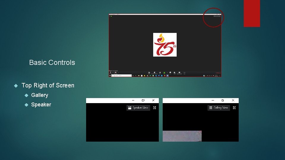 Basic Controls Top Right of Screen Gallery Speaker 