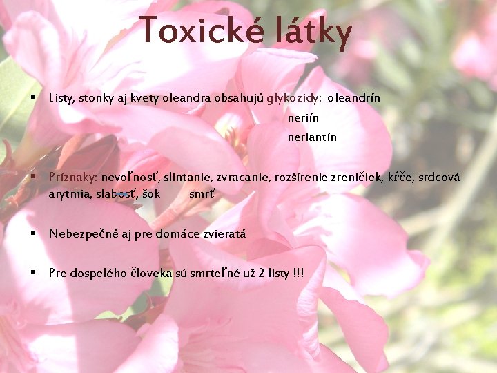 Toxické látky § Listy, stonky aj kvety oleandra obsahujú glykozidy: oleandrín neriantín § Príznaky: