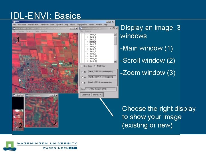 IDL-ENVI: Basics Display an image: 3 windows 1 -Main window (1) -Scroll window (2)
