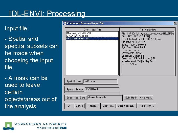 IDL-ENVI: Processing Input file: - Spatial and spectral subsets can be made when choosing