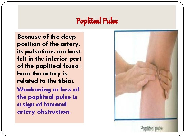 Popliteal Pulse Because of the deep position of the artery, its pulsations are best