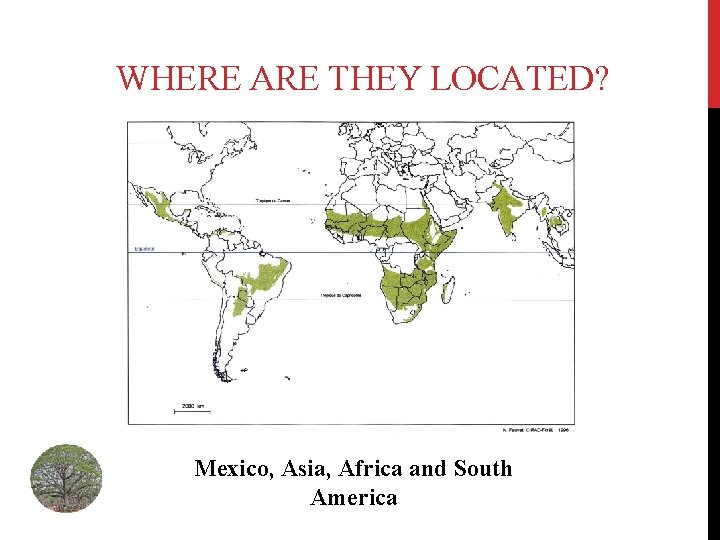 WHERE ARE THEY LOCATED? Mexico, Asia, Africa and South America 