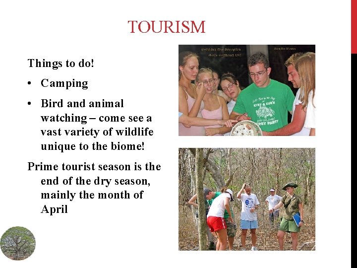 TOURISM Things to do! • Camping • Bird animal watching – come see a