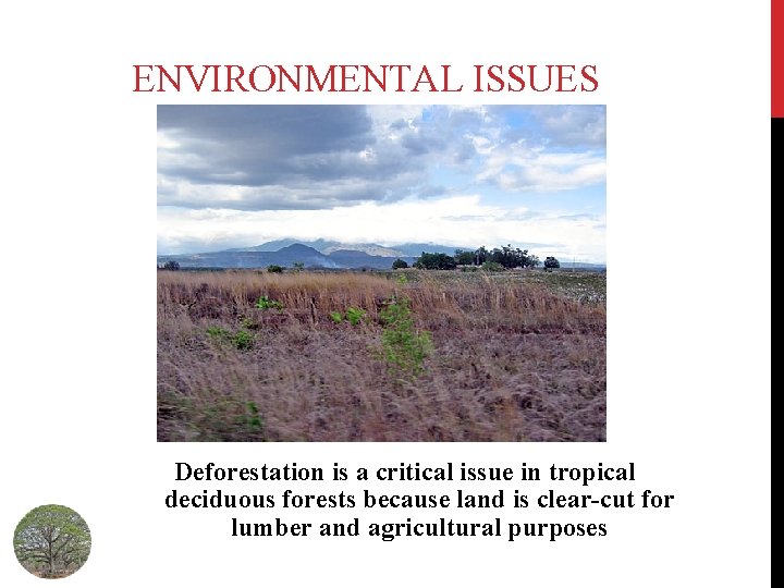 ENVIRONMENTAL ISSUES Deforestation is a critical issue in tropical deciduous forests because land is
