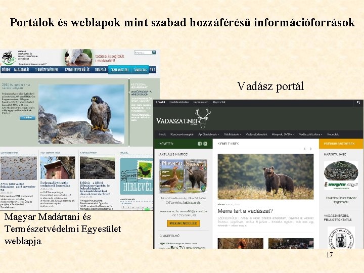 Portálok és weblapok mint szabad hozzáférésű információforrások Vadász portál Magyar Madártani és Természetvédelmi Egyesület