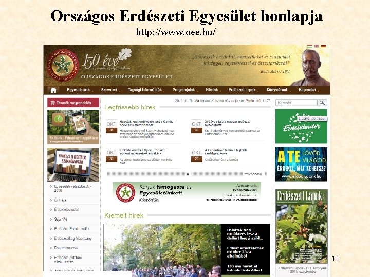 Országos Erdészeti Egyesület honlapja http: //www. oee. hu/ 18 Országos Erdészeti Egyesület honlapja http: //www. oee. hu/ 18