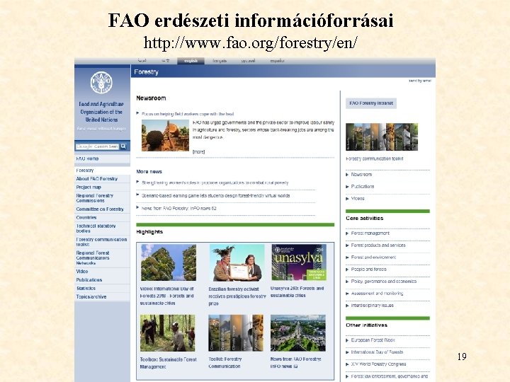 FAO erdészeti információforrásai http: //www. fao. org/forestry/en/ 19 