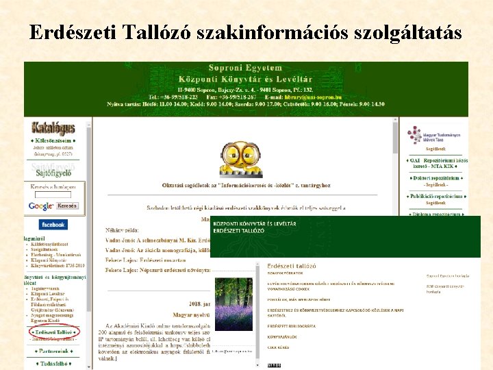Erdészeti Tallózó szakinformációs szolgáltatás 22 