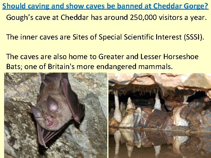 Should caving and show caves be banned at Cheddar Gorge? Gough’s cave at Cheddar