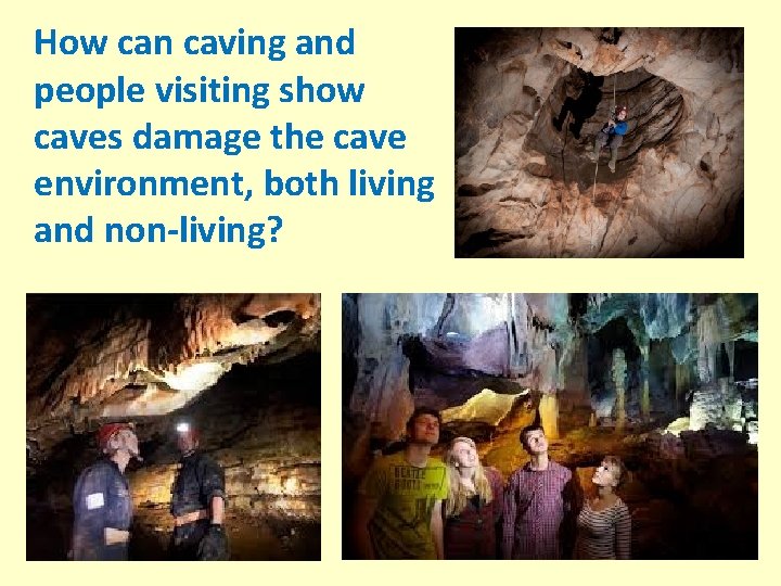 How can caving and people visiting show caves damage the cave environment, both living