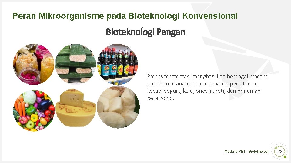 Peran Mikroorganisme pada Bioteknologi Konvensional Bioteknologi Pangan Proses fermentasi menghasilkan berbagai macam produk makanan