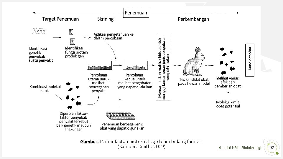 Gambar. Pemanfaatan bioteknologi dalam bidang farmasi (Sumber: Smith, 2009) Modul 6 KB 1 -