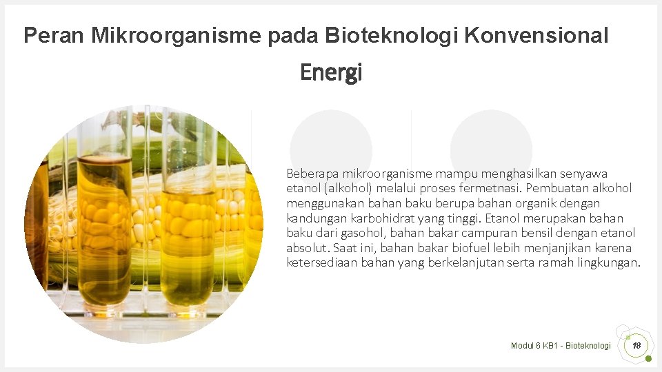 Peran Mikroorganisme pada Bioteknologi Konvensional Energi Beberapa mikroorganisme mampu menghasilkan senyawa etanol (alkohol) melalui