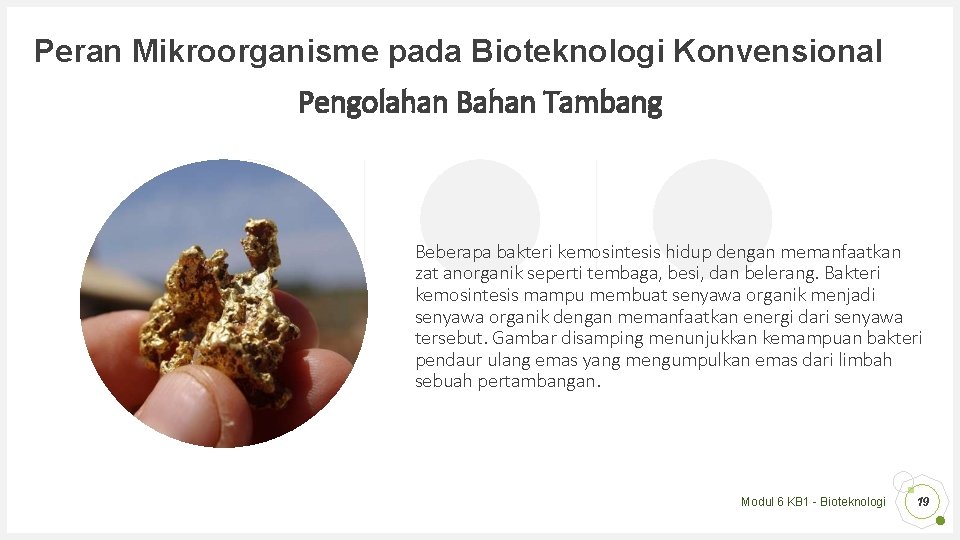 Peran Mikroorganisme pada Bioteknologi Konvensional Pengolahan Bahan Tambang Beberapa bakteri kemosintesis hidup dengan memanfaatkan