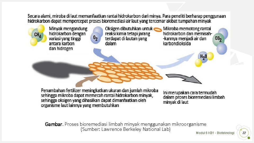 Gambar. Proses bioremediasi limbah minyak menggunakan mikroorganisme (Sumber: Lawrence Berkeley National Lab) Modul 6