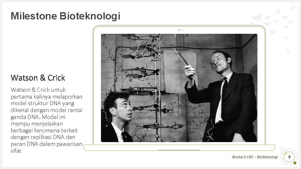 Milestone Bioteknologi Watson & Crick untuk pertama kalinya melaporkan model struktur DNA yang dikenal