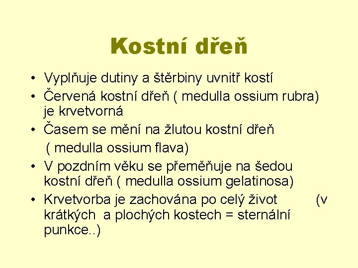 Kostní dřeň • Vyplňuje dutiny a štěrbiny uvnitř kostí • Červená kostní dřeň (