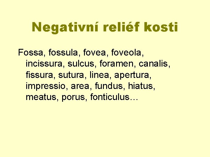 Negativní reliéf kosti Fossa, fossula, foveola, incissura, sulcus, foramen, canalis, fissura, sutura, linea, apertura,