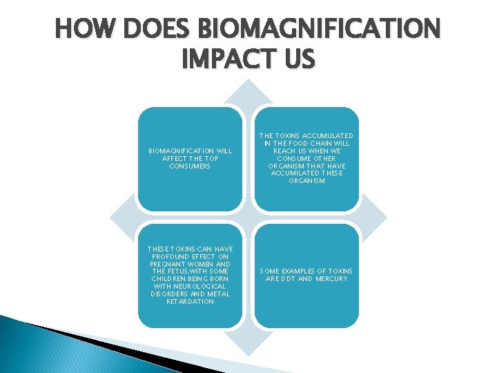 HOW DOES BIOMAGNIFICATION IMPACT US BIOMAGNIFICATION WILL AFFECT THE TOP CONSUMERS THE TOXINS ACCUMULATED