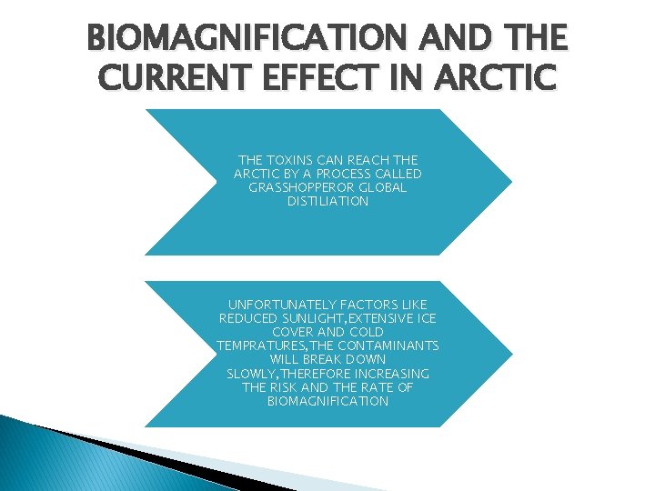 BIOMAGNIFICATION AND THE CURRENT EFFECT IN ARCTIC THE TOXINS CAN REACH THE ARCTIC BY