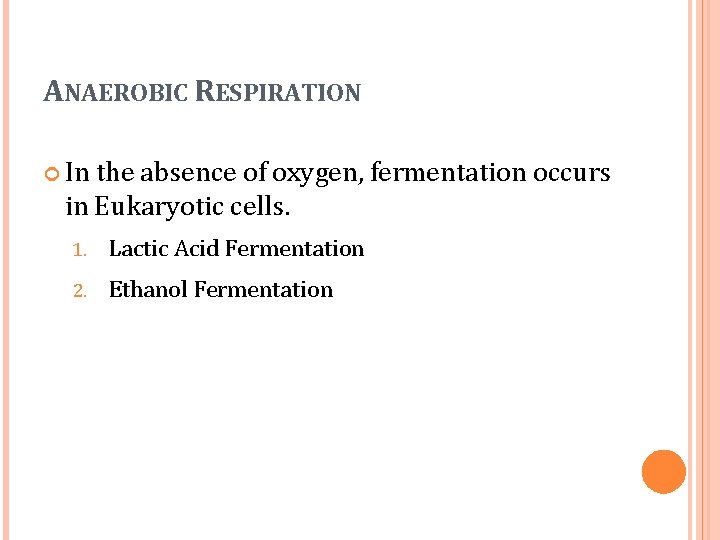 ANAEROBIC RESPIRATION In the absence of oxygen, fermentation occurs in Eukaryotic cells. 1. Lactic