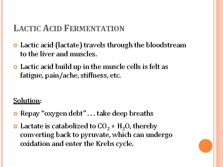 LACTIC ACID FERMENTATION Lactic acid (lactate) travels through the bloodstream to the liver and