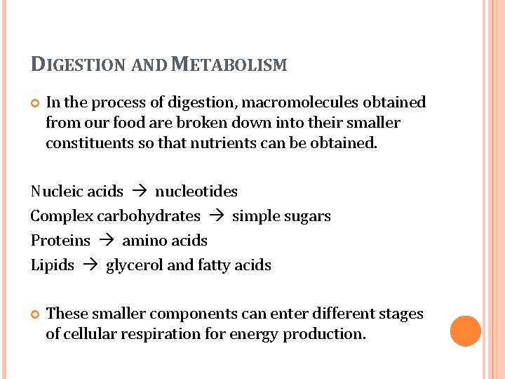 DIGESTION AND METABOLISM In the process of digestion, macromolecules obtained from our food are