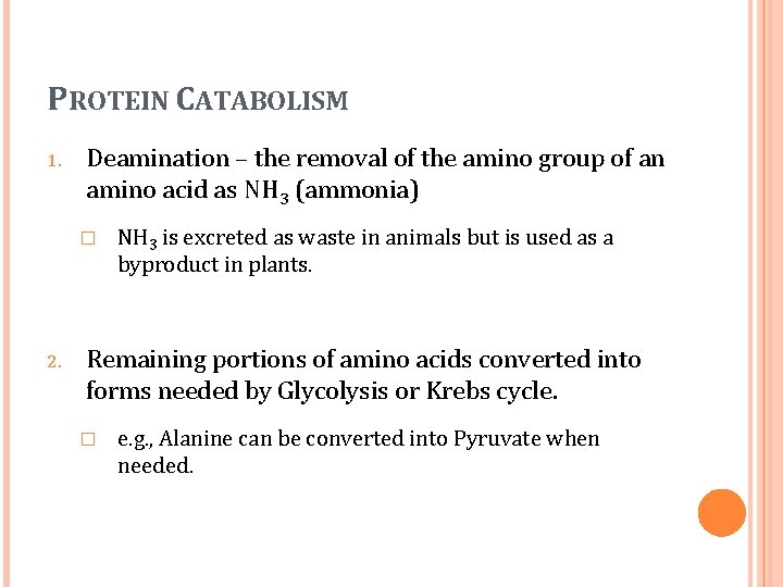 PROTEIN CATABOLISM 1. Deamination – the removal of the amino group of an amino