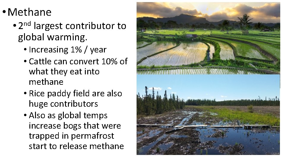  • Methane • 2 nd largest contributor to global warming. • Increasing 1%