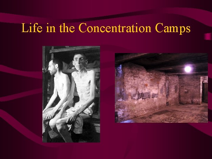 Life in the Concentration Camps 