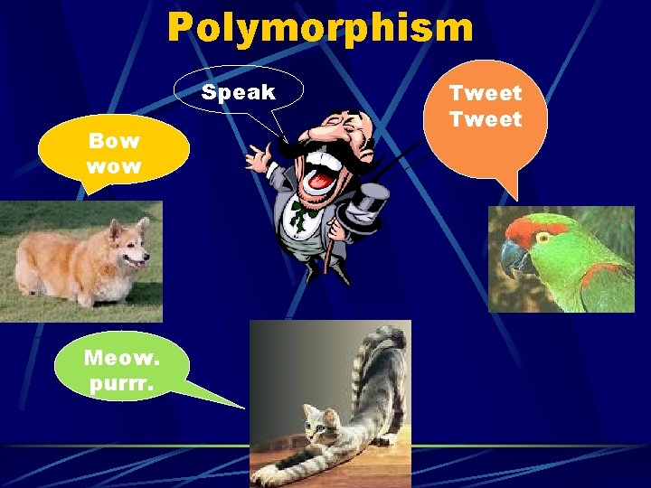 Polymorphism Speak Bow wow Meow. purrr. Tweet 