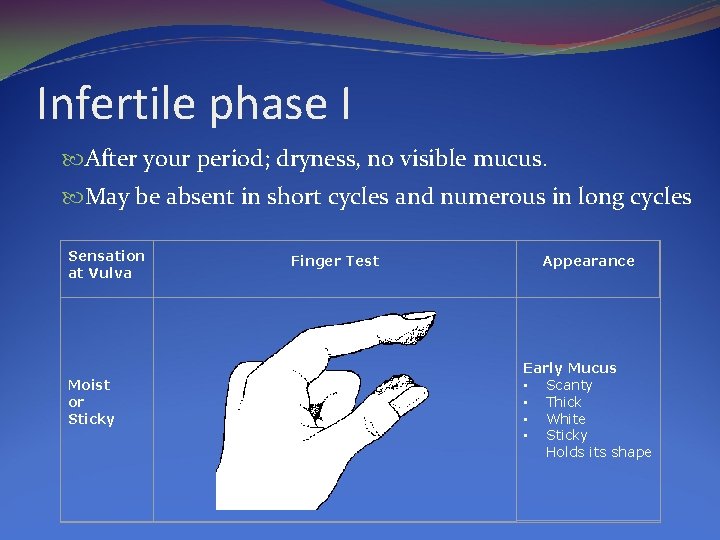 Infertile phase I After your period; dryness, no visible mucus. May be absent in