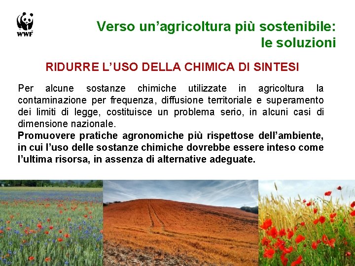 Verso un’agricoltura più sostenibile: le soluzioni RIDURRE L’USO DELLA CHIMICA DI SINTESI Per alcune