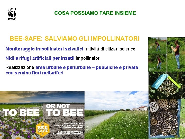 BEE-SAFE: SALVIAMO GLI IMPOLLINATORI Monitoraggio impollinatori selvatici: attività di citizen science Nidi e rifugi