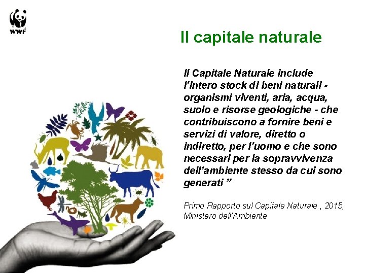 Il capitale naturale ll Capitale Naturale include l’intero stock di beni naturali organismi viventi,