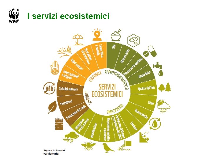 I servizi ecosistemici 