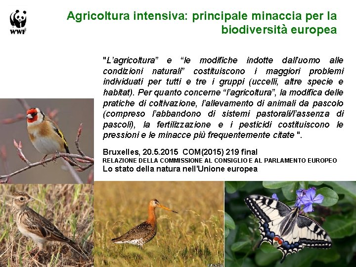Agricoltura intensiva: principale minaccia per la biodiversità europea "L’agricoltura” e “le modifiche indotte dall’uomo