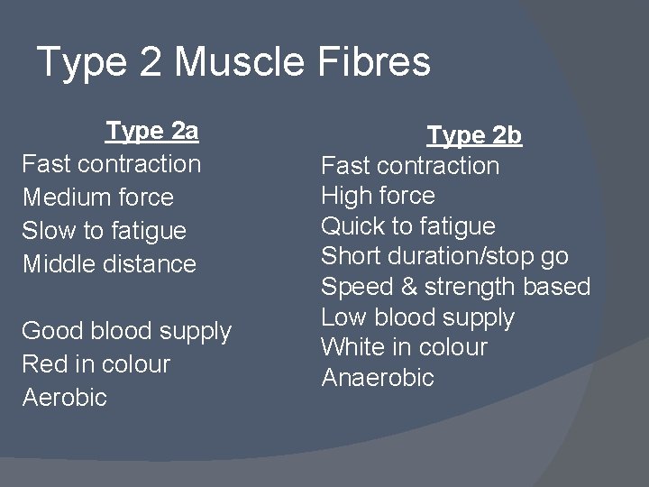 Type 2 Muscle Fibres Type 2 a Fast contraction Medium force Slow to fatigue
