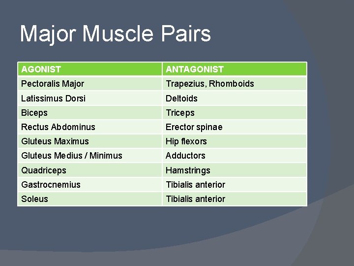 Major Muscle Pairs AGONIST ANTAGONIST Pectoralis Major Trapezius, Rhomboids Latissimus Dorsi Deltoids Biceps Triceps