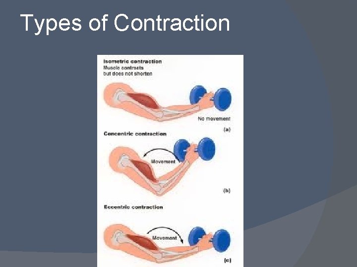 Types of Contraction 
