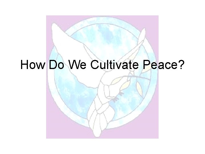 How Do We Cultivate Peace? 